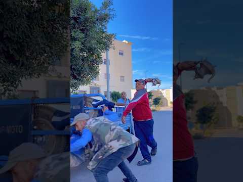 الطمع عما عينيه 😱