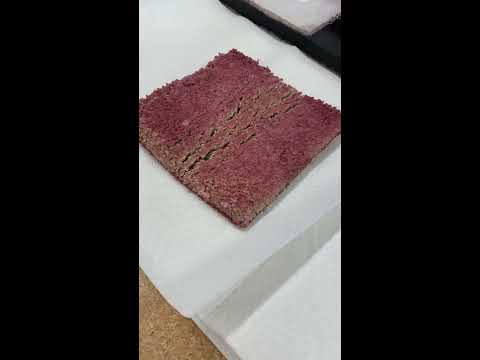 image-What is PTT carpet fiber?