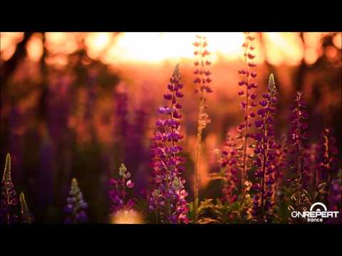 Firestorm & Steve Allen pres. F&SA | Titicaca (Firestorm Remix)