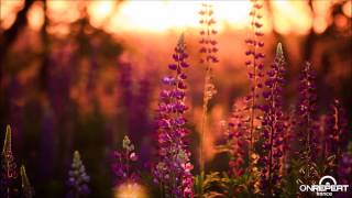 Firestorm & Steve Allen pres. F&SA | Titicaca (Firestorm Remix)