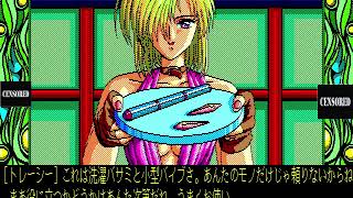 Dragon City X Shitei (ドラゴンシティX指定) for the NEC PC-88