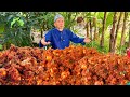 AYAM GORENG BEREMPAH SARANG HALUS ️ Mudah Boleh Buat