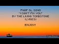 The Living Tombstone I Can T Fix You LYRICS