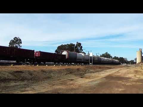 Qube bedding in train on the Echuca line