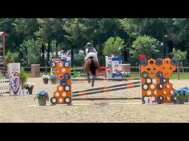 Pony sella francese DISPONIBILE