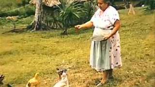 Mark Barrott 'Go Berri Be Happy' (Sketches from an Island)