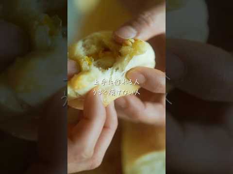 トマト酵母の使い方は？あまり知られていないが効果的な肥料に注目！  庭園