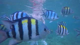 러시아 친구들이 맥주를 너무 많이 마셔서 오늘 투어가 너무 슬펐어요 :(