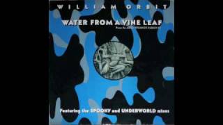 "Water from a Vine Leaf" William Orbit