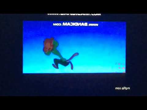 Sammy the Woodpile Turtle part 8 - The Hyenas Chase