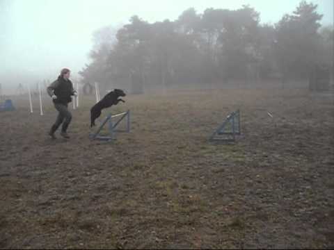 Sprunggymnastiktraining 21.11.2010