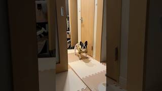 【切なすぎる】哀愁漂うフレブルの待ち姿がこちら😂