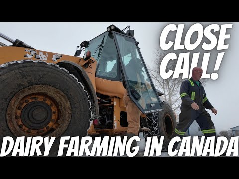 Close Call With Door During Day Of Choring!