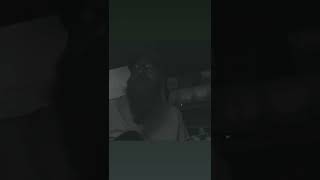 Blaze Foley - Baby Can I Crawl Back to You - Rlee Coates