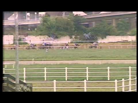 Srpski Galopski Derbi 2014.