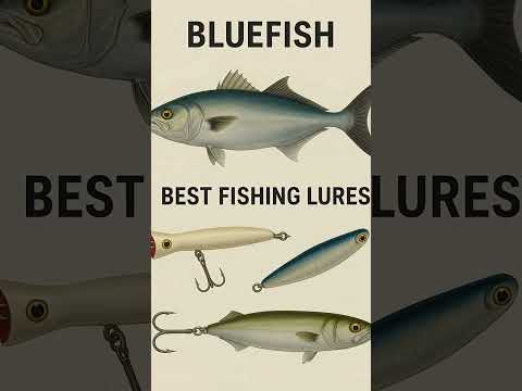 Best Lures for Saltwater Fishing | Top Picks That Catch Everything!  #fishing #lures #saltwater #cro