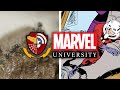 Ant-Man: The Science of Ants | Marvel University