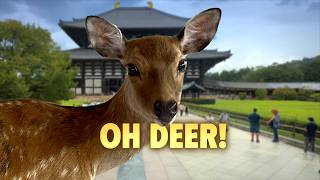 Nara Japan in less than 1 Day - Best Things to Do and See