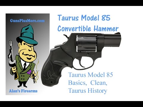 Taurus 85 Convertible Hammer, Taurus store, the 85 Basics,  clean and , and maintenance