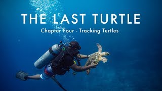 The Last Turtle | Ep.4, Tracking Turtles