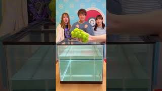 浮く❓浮かない❓フルーツチャレンジ😆#shorts