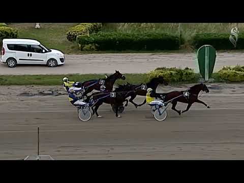 Aversa trotto 20 Maggio 2023 - 5° Corsa