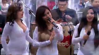 Días Felices Lyrics English Translation