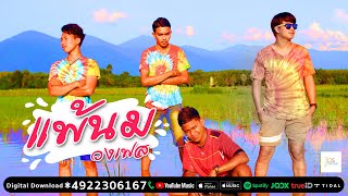 แพ้นม – วงเฟส