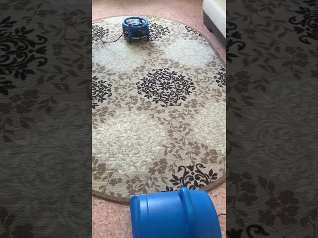 Химчистка и сушка ковров в Краснодаре 