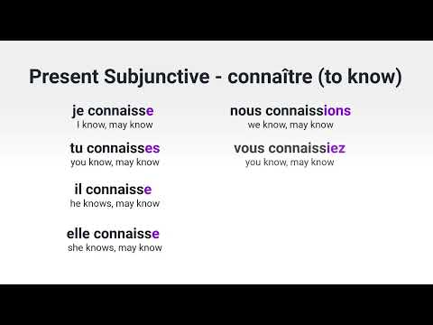 What Is the Present Subjunctive of avoir to have in French