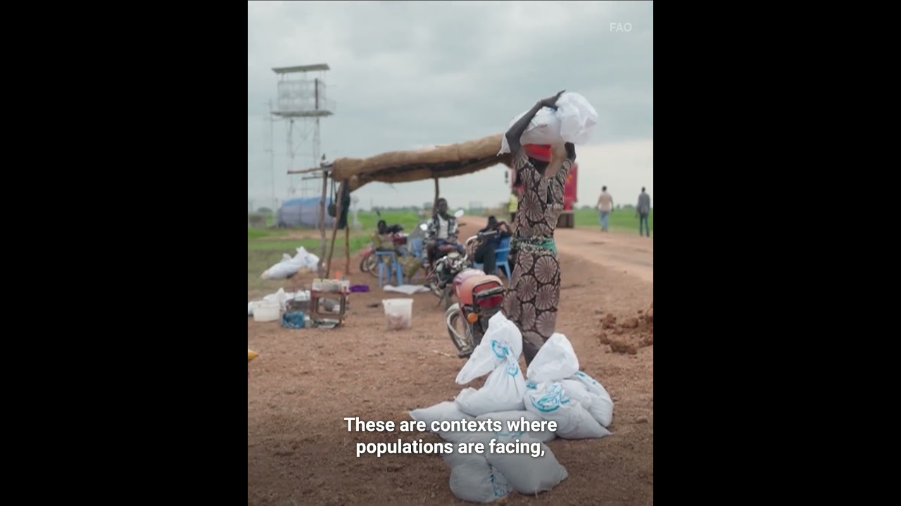 New report highlights 13 global hunger hotspots | United Nations