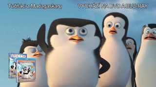 Tučňáci z Madagaskaru - 4 minuty z filmu - na DVD a Blu ray Tučňáci z Madagaskaru - 4 minuty z filmu - na DVD a Blu ray