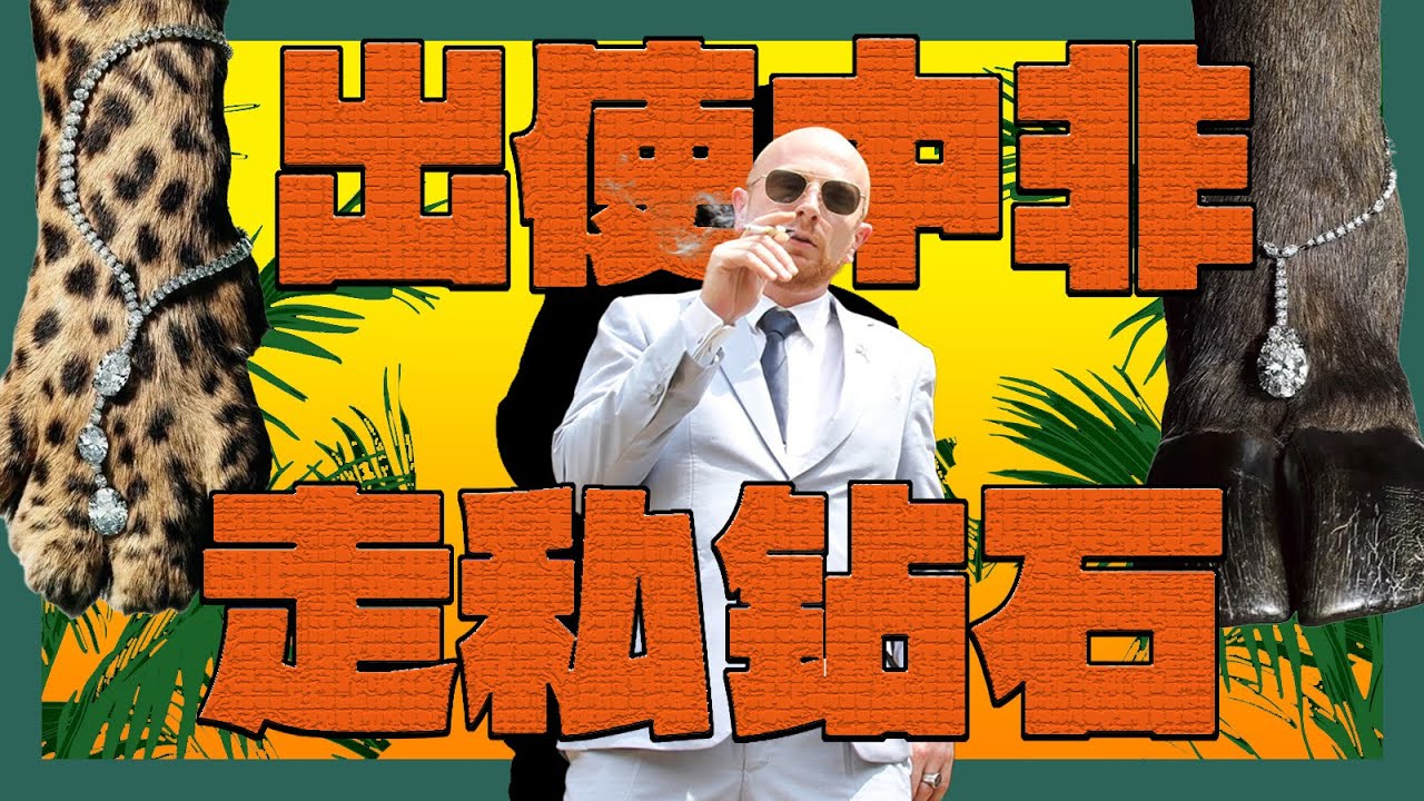 如何当个假大使👔走私中非钻石💎？｜X博士