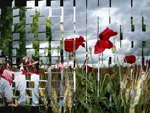 António Zambujo -" Trago alentejo na Voz