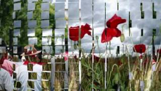 António Zambujo -" Trago alentejo na Voz