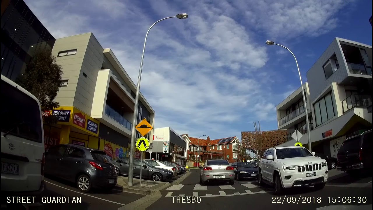 This Month In Dash Cams: Why Did The Brushturkey Cross The Road?