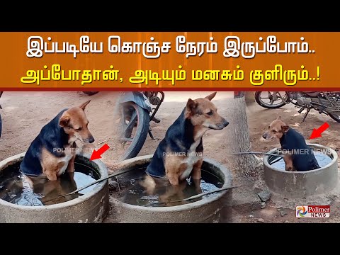 இப்படியே கொஞ்ச நேரம் இருப்போம்... அப்போதான் மனசு குளிரும்...!