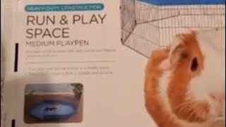 YOU&ME RUN &PLAY SPACE FOR  Guinea pigs HOW TO!
