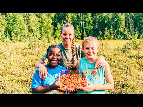 Clearing land for our Greenhouse Build + Picking Cloudberries & Making homemade Jam!