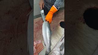 How to Fillet a Fish (Salmon): A Beginner's Guide