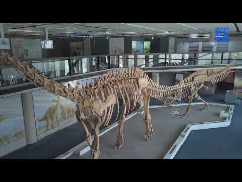 Iziko South African Museum