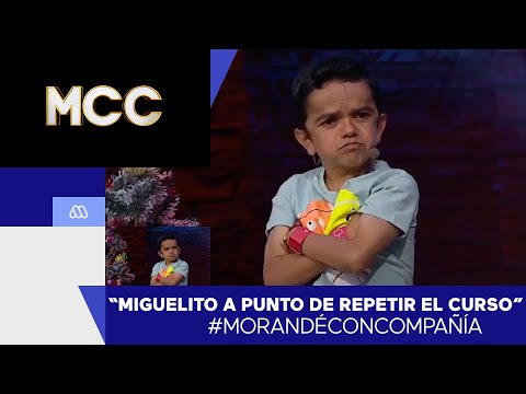 Miguelito about to repeat the year - Morandé with company