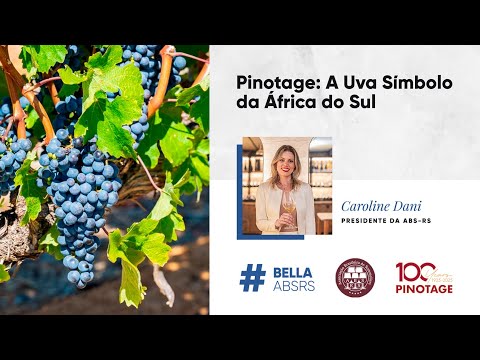 Pinotage: A Uva Símbolo da África do Sul