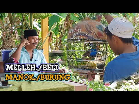 madura-lucumelleh-manok-1