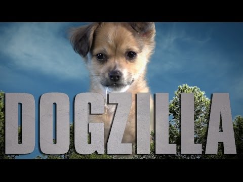 Godzilla (Cute Puppy Version)