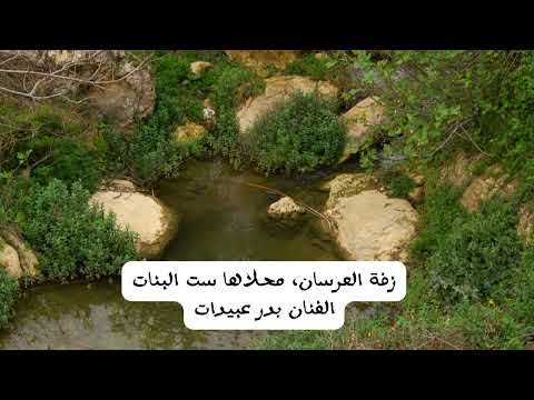 زفة العرسان محلاها ست البنات الفنان بدر عبيدات