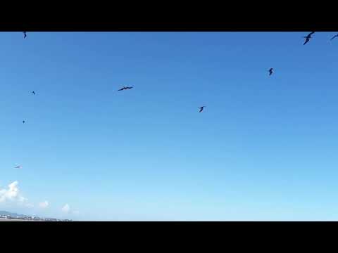 Churras on the beach