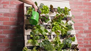 Grow Your Own Food in Small Spaces