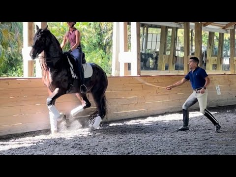 Dr Cesar Parra - A Former Olympic rider pt.2