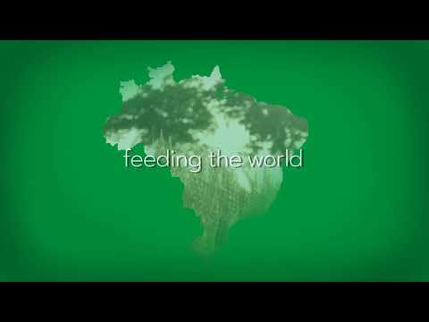 Brazil Barn Group - 2020 Institutional Video
